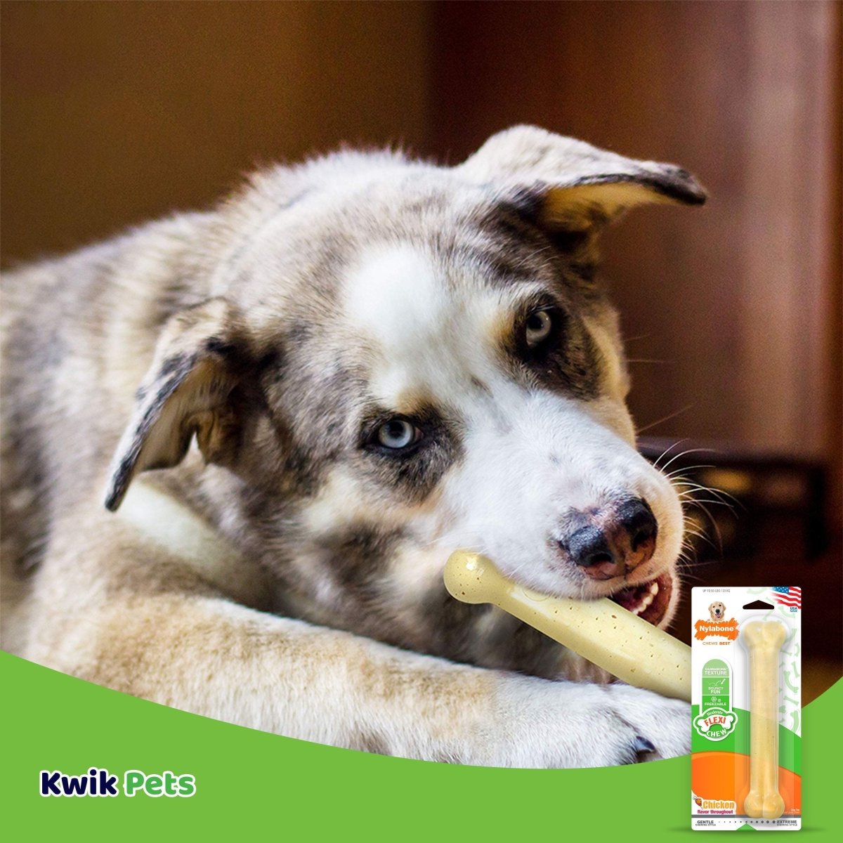 Dental Bone Giant Size Chicken Flavored - The Snag Bin