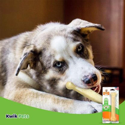 Dental Bone Giant Size Chicken Flavored - The Snag Bin