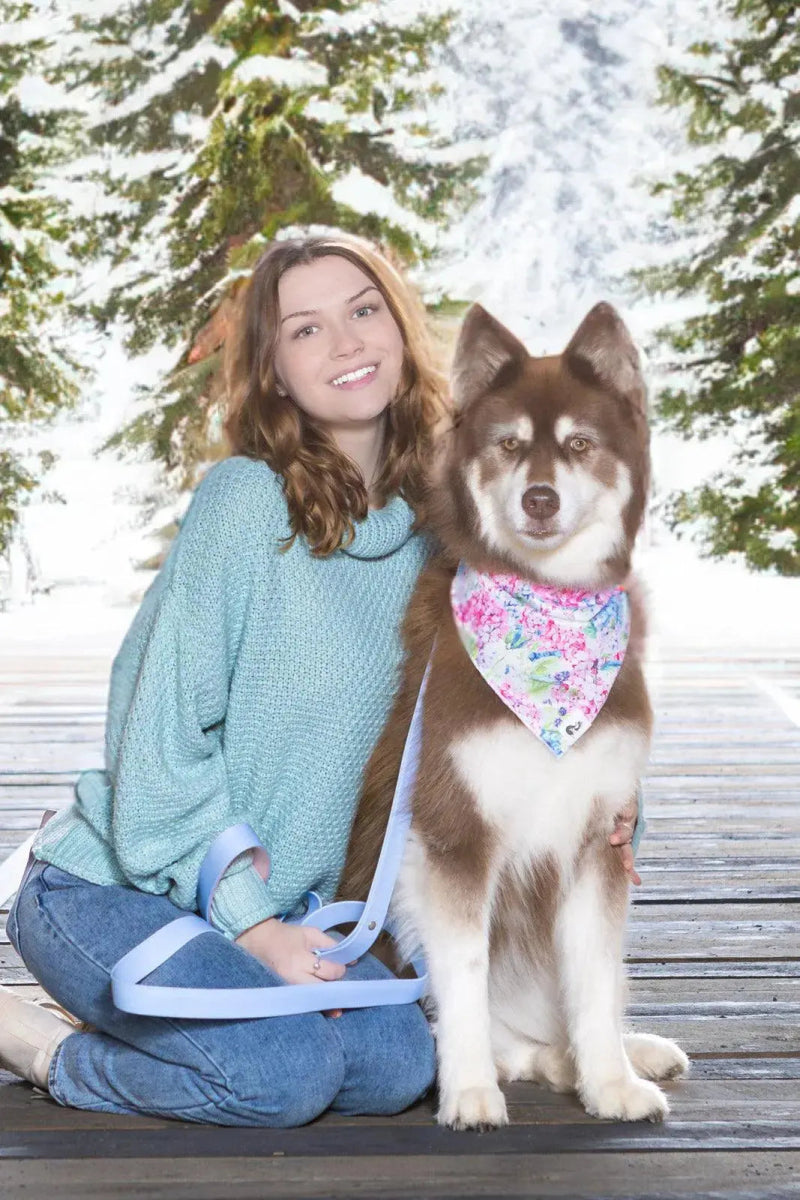 Dog Bandana - The Snag Bin