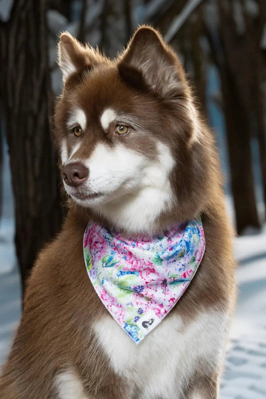 Dog Bandana - The Snag Bin