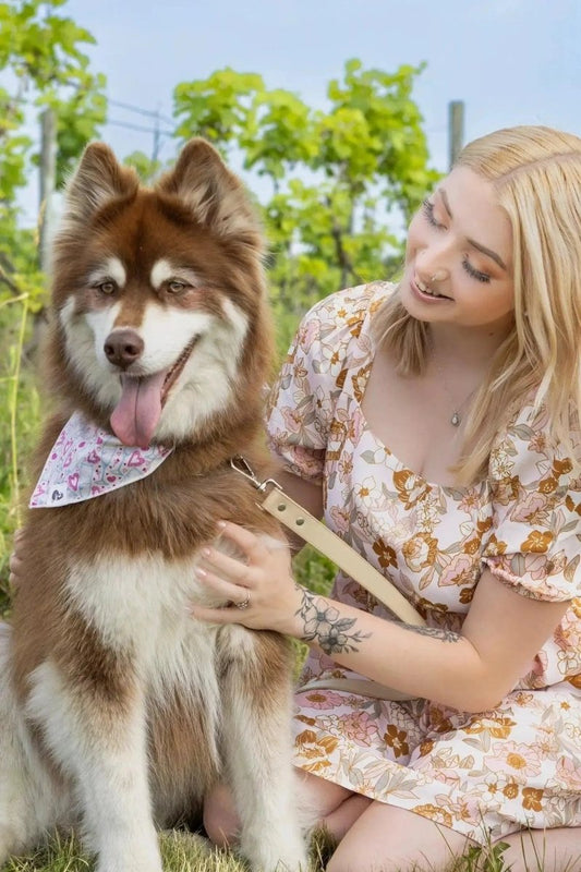 Dog Bandana - The Snag Bin