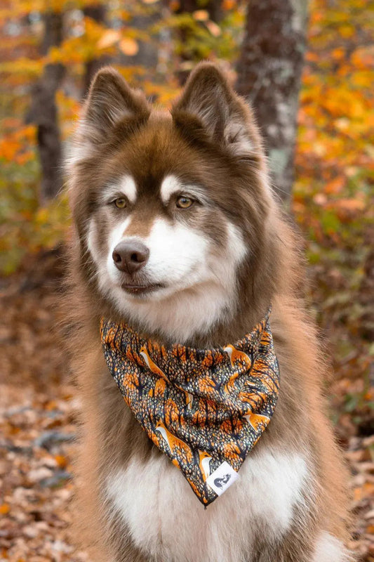 Dog Bandana - The Snag Bin