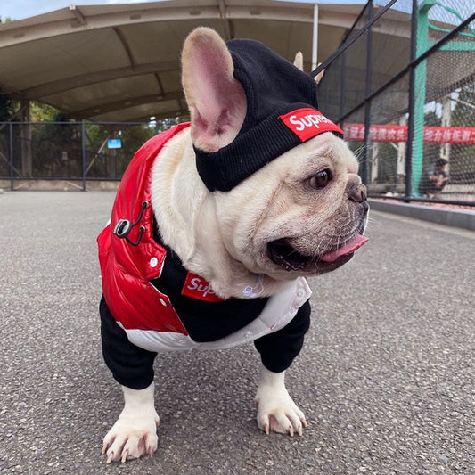 Dog Clothes Fighting Coat Hat Set - The Snag Bin