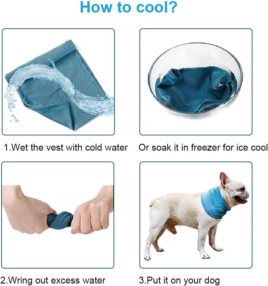 Dog Cooling Bandana - The Snag Bin