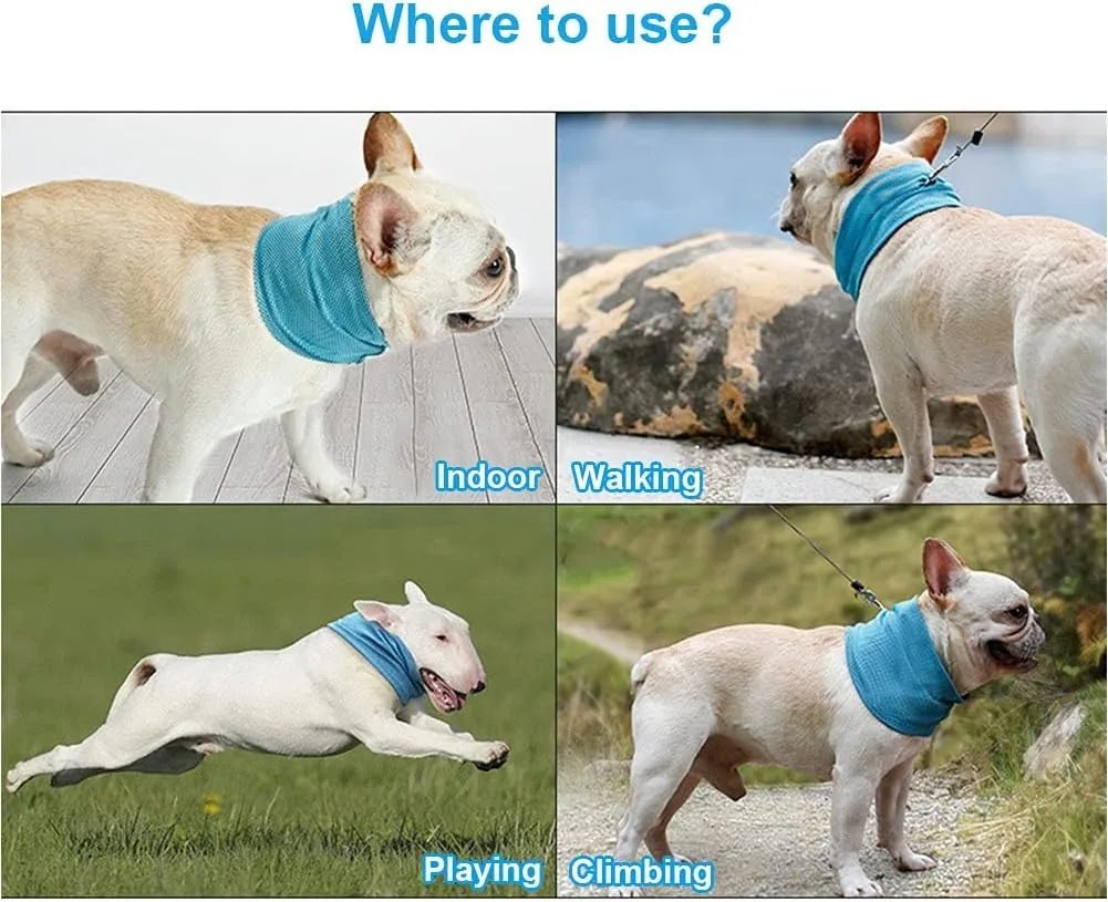 Dog Cooling Bandana - The Snag Bin