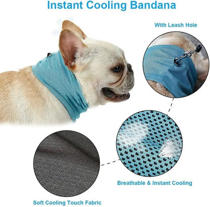 Dog Cooling Bandana - The Snag Bin
