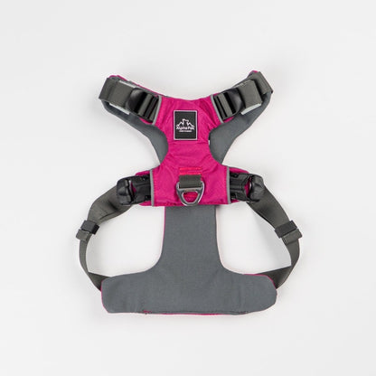 Dog Harness - The Snag Bin