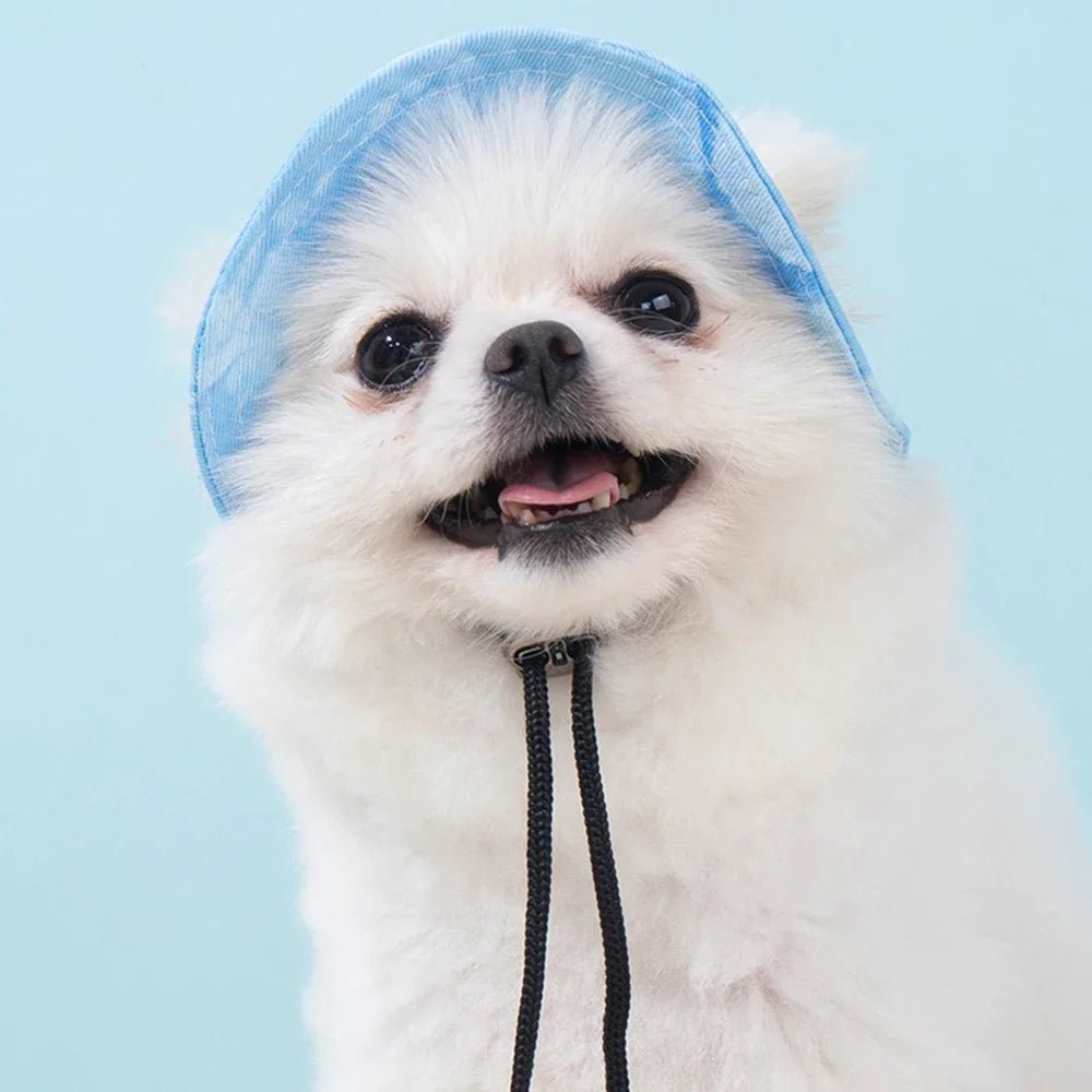 Dog Hat Adjustable - The Snag Bin