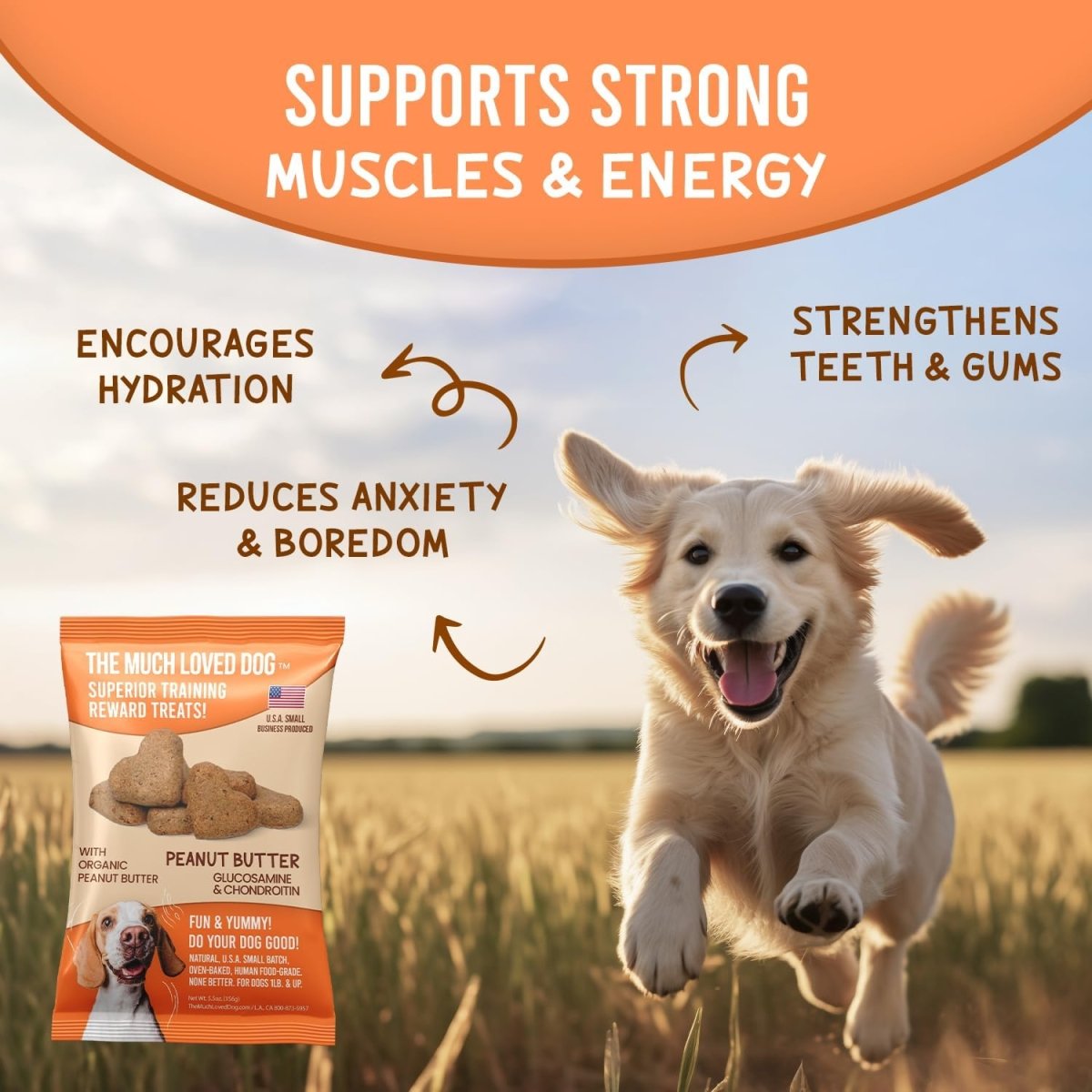 Dog - Peanut Butter Joint Support - The Snag Bin