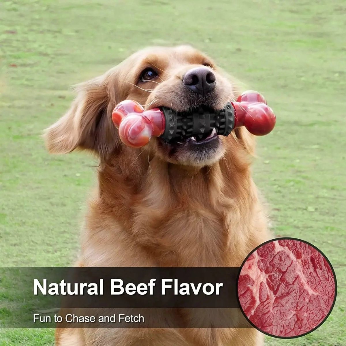 Dog Toys for Aggressive Chewers Bone - The Snag Bin