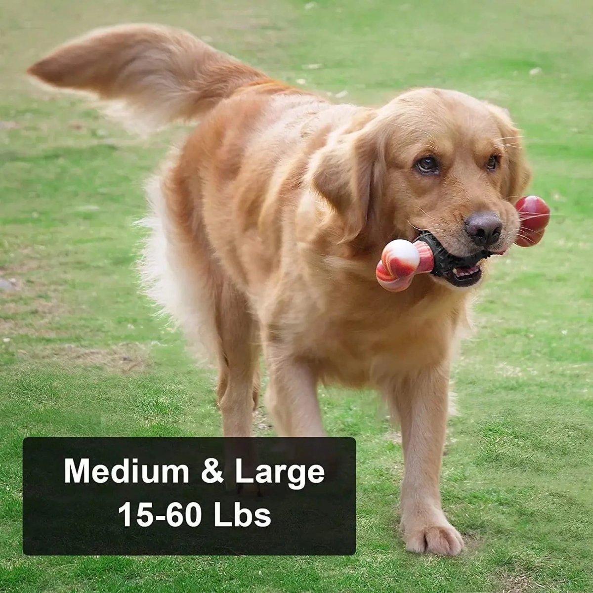 Dog Toys for Aggressive Chewers Bone - The Snag Bin