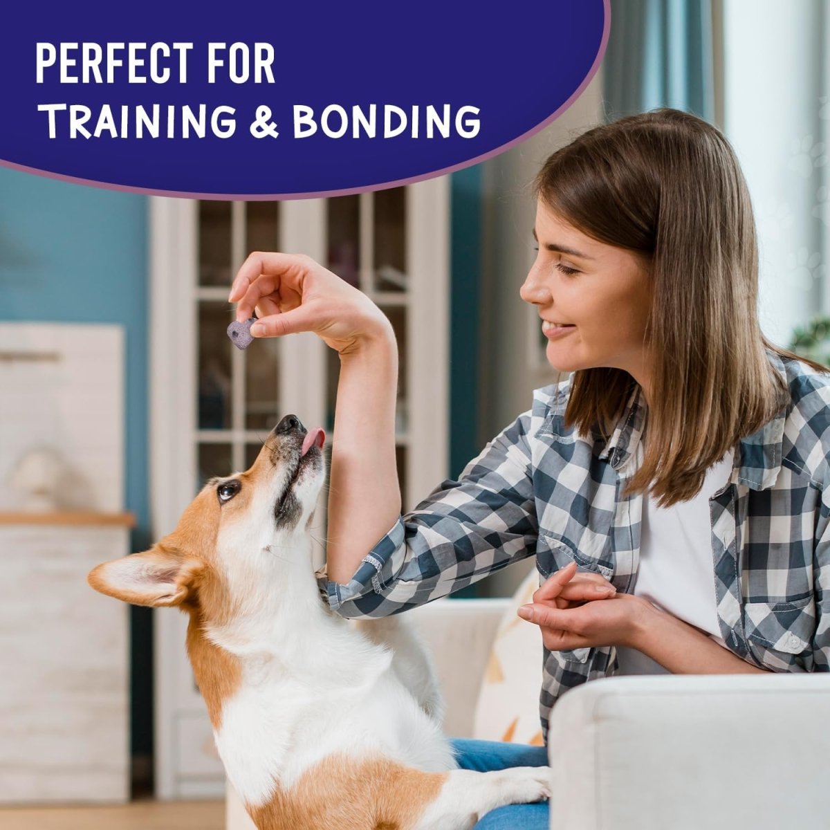 Dog Training Bundle - 6 Pack - The Snag Bin
