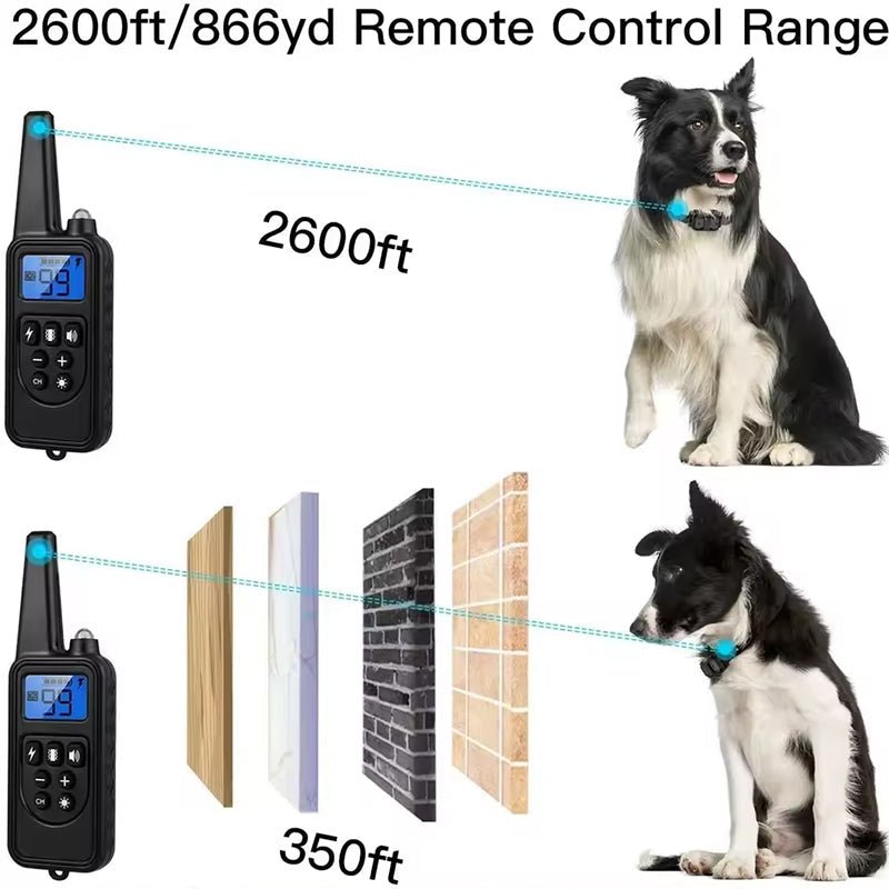Dog Training Collar - The Snag Bin