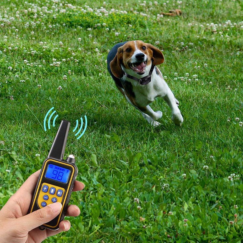 Dog Training Collar - The Snag Bin