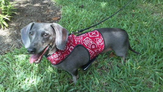 Doggy Holster (Made in USA) - The Snag Bin