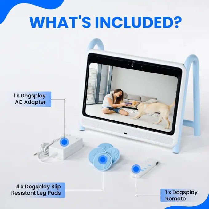 DOGIE TV - SMART TV FOR DOGS - The Snag Bin