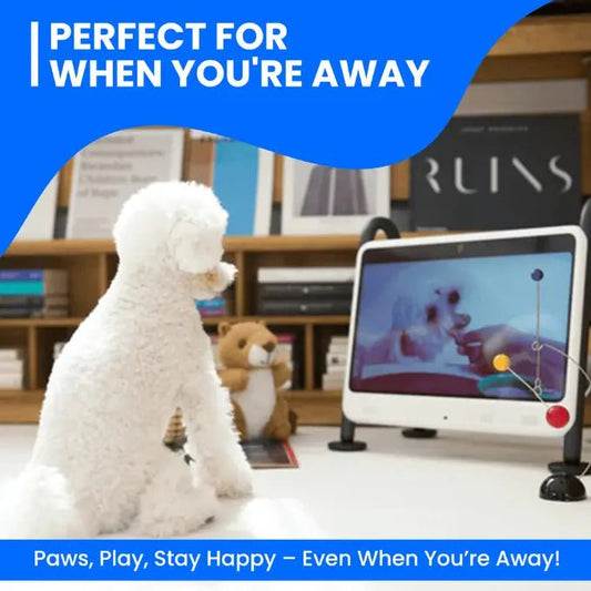 DOGIE TV - SMART TV FOR DOGS - The Snag Bin