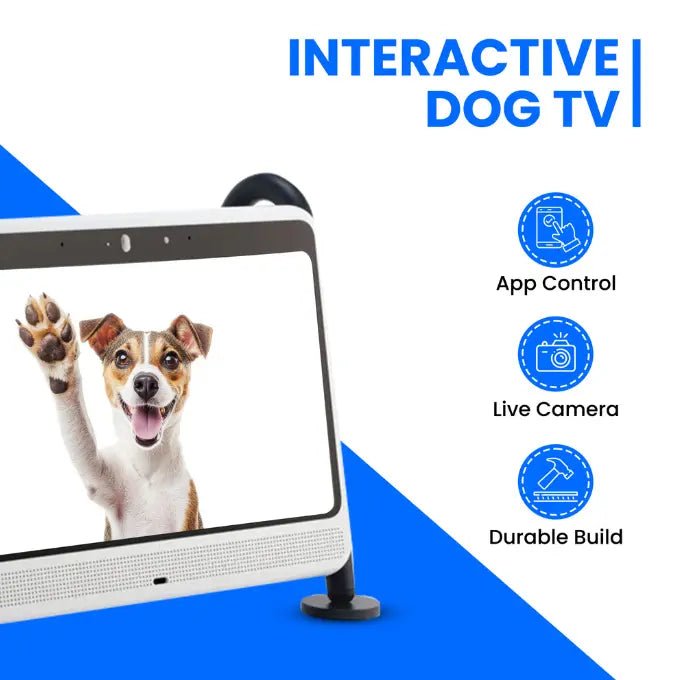 DOGIE TV - SMART TV FOR DOGS - The Snag Bin