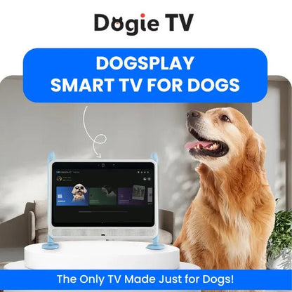 DOGIE TV - SMART TV FOR DOGS - The Snag Bin