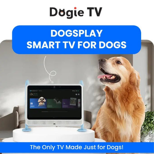 DOGIE TV - SMART TV FOR DOGS - The Snag Bin