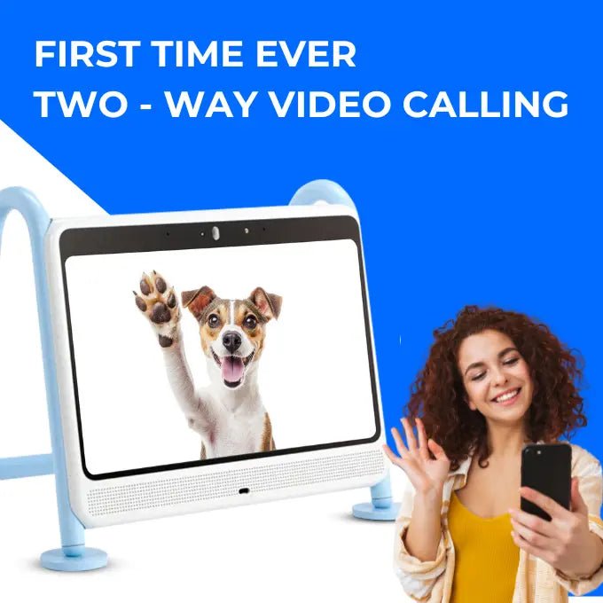 DOGIE TV - SMART TV FOR DOGS - The Snag Bin