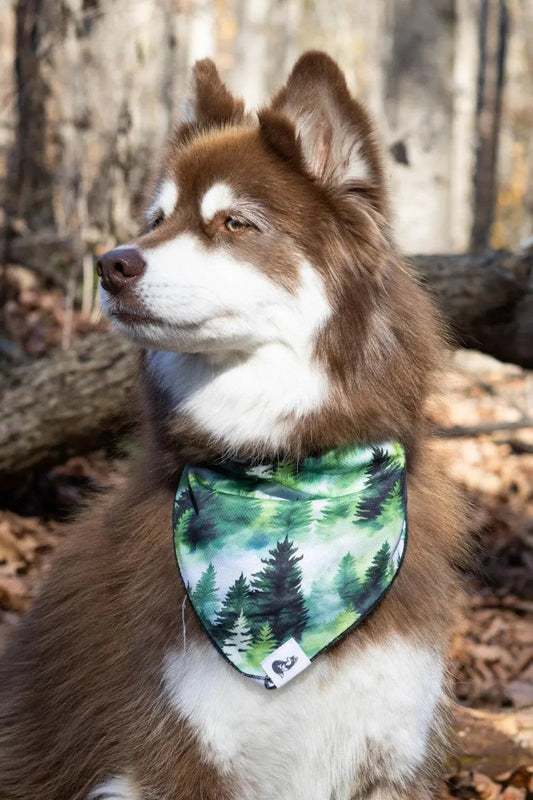 Evergreen Dog Bandana - The Snag Bin