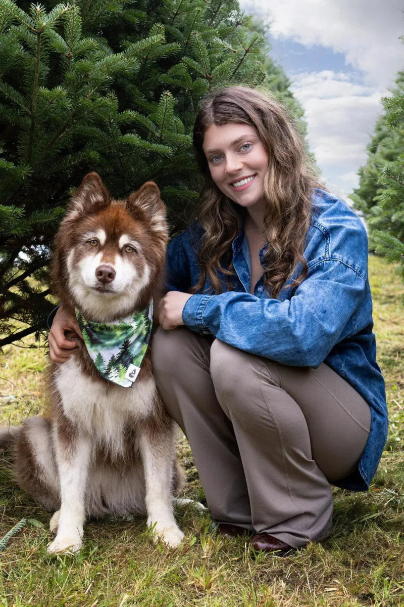 Evergreen Dog Bandana - The Snag Bin