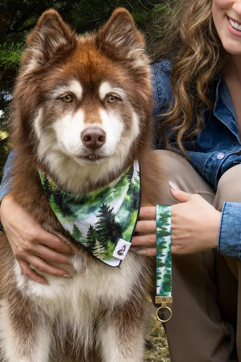 Evergreen Dog Bandana & Matching Keychain - The Snag Bin