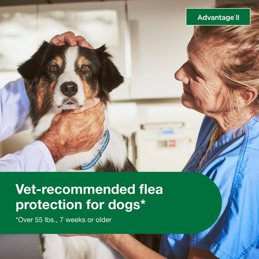 Flea Prevention for XL Dogs 55 Lbs+, - The Snag Bin