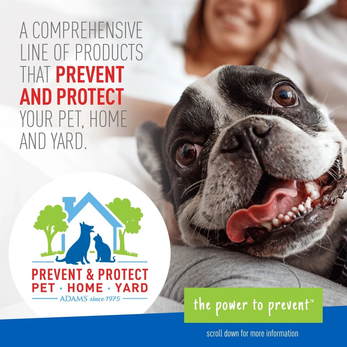 Flea & Tick Foaming Shampoo & Wash - 2 Pack for Sensitive Skin! - The Snag Bin