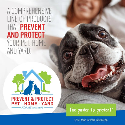 Flea & Tick Foaming Shampoo & Wash - 2 Pack for Sensitive Skin! - The Snag Bin