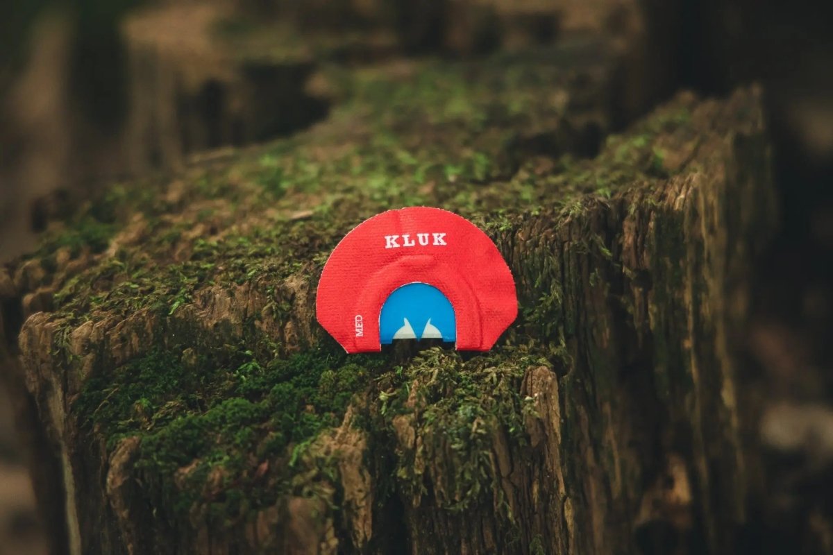 FREEDOM CRY - The Snag Bin