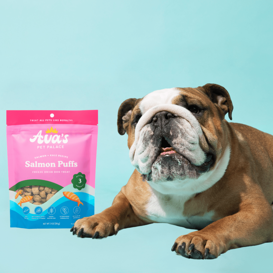 Freeze Dried Dog Treats - Salmon Puffs - The Snag Bin