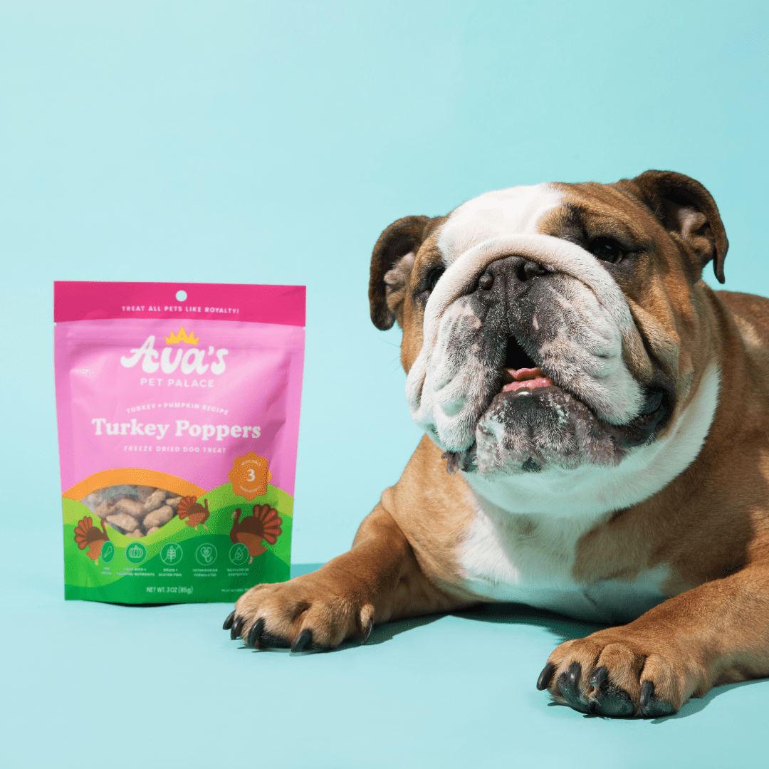 Freeze Dried Dog Treats - Turkey Poppers - The Snag Bin