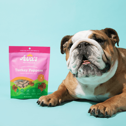 Freeze Dried Dog Treats - Turkey Poppers - The Snag Bin