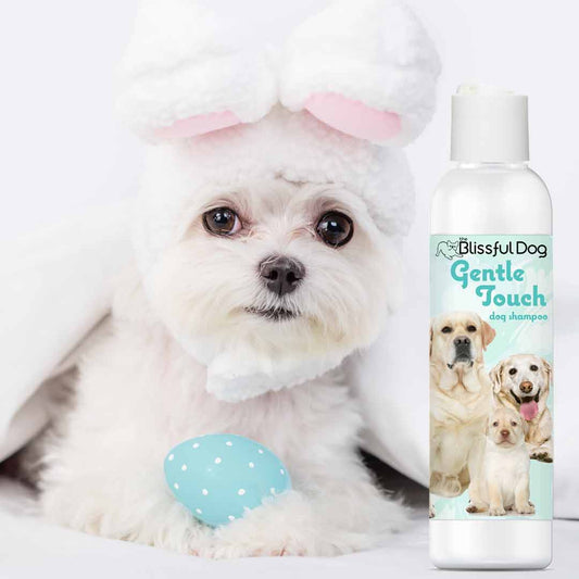 Gentle Touch Dog Shampoo & Soap - The Snag Bin