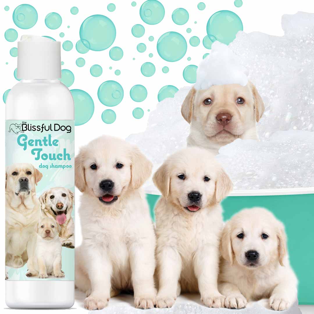 Gentle Touch Dog Shampoo & Soap - The Snag Bin