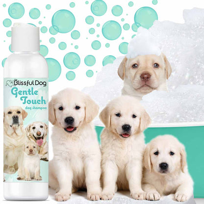 Gentle Touch Dog Shampoo & Soap - The Snag Bin