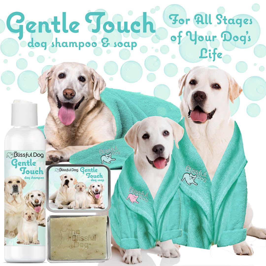Gentle Touch Dog Shampoo & Soap - The Snag Bin