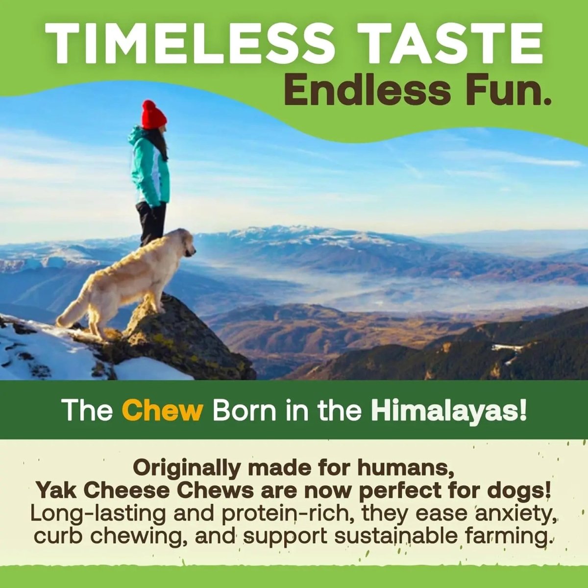 Gold Yak Chews for Small Dogs (4 - 75 sticks) - The Snag Bin