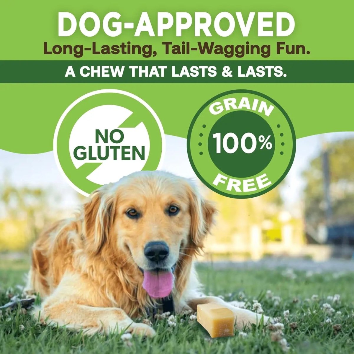 Gold Yak Chews for Small Dogs (4 - 75 sticks) - The Snag Bin