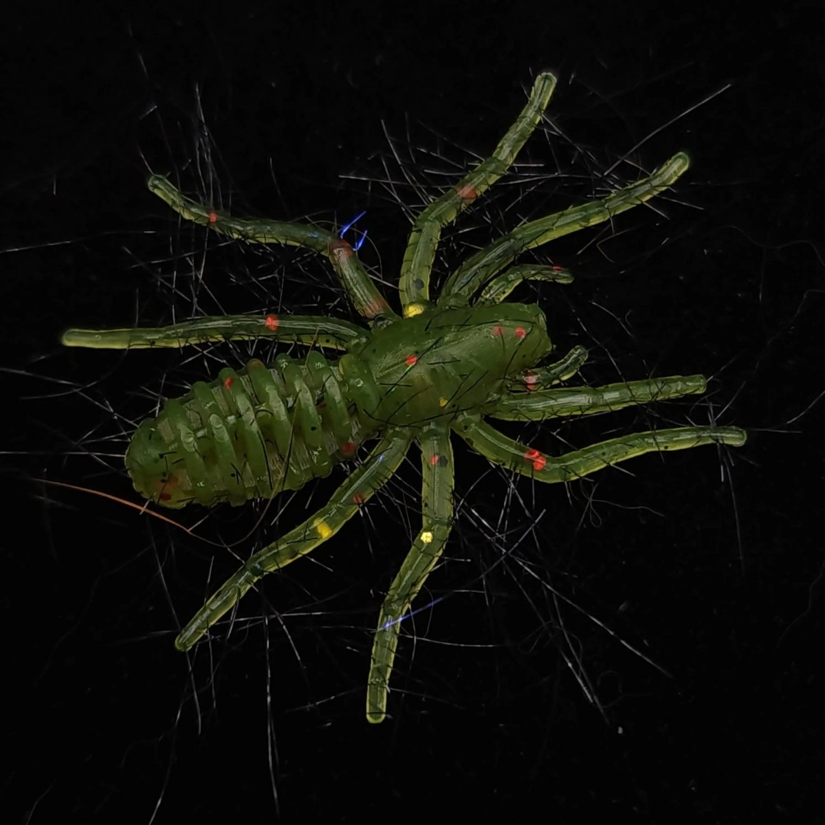 Hairy 1" Micro Spider Bait "The Writing Spider" - The Snag Bin