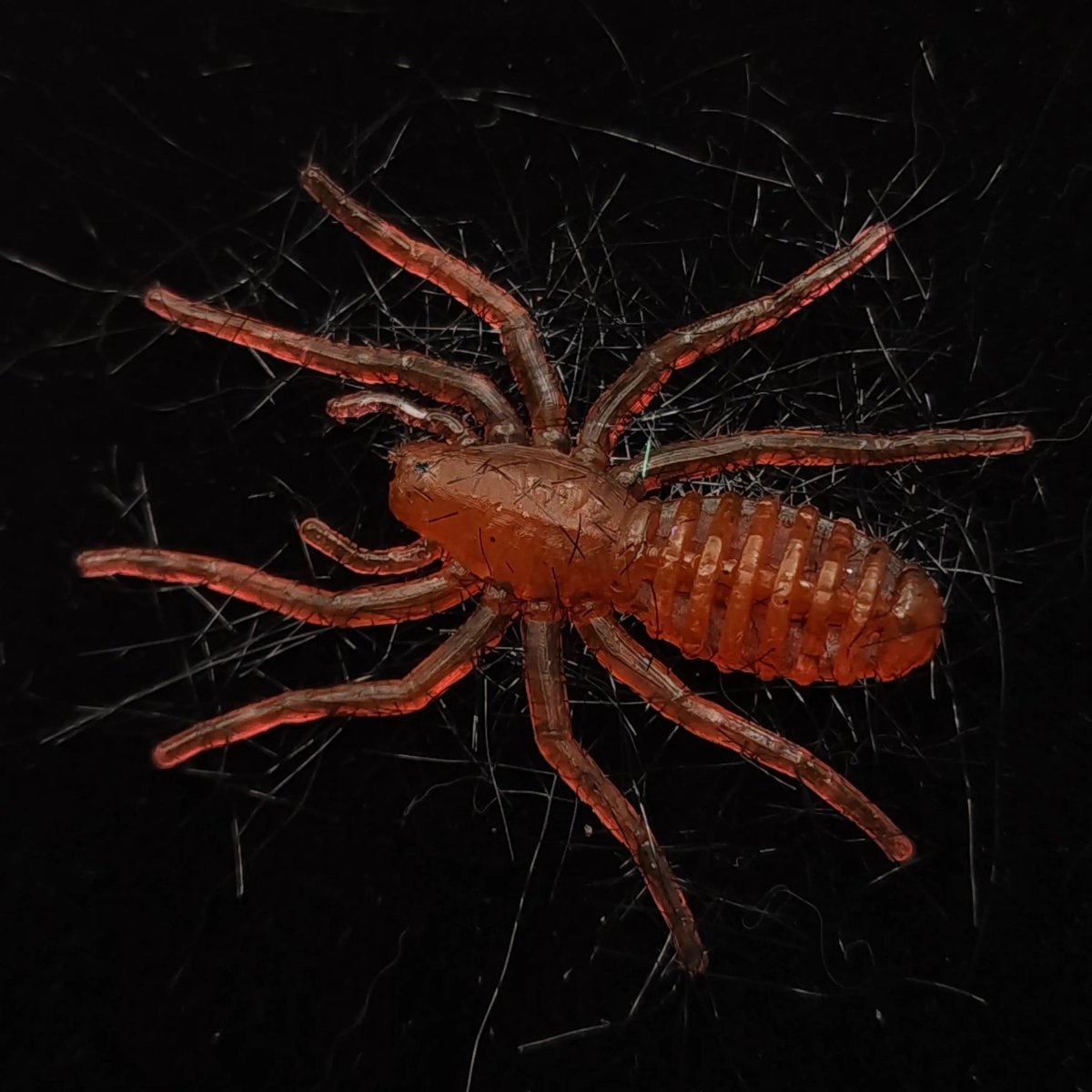 Hairy 1" Micro Spider Bait "The Writing Spider" - The Snag Bin