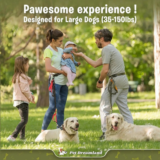 Hands - Free Dog Leash for Large Dogs - The Snag Bin