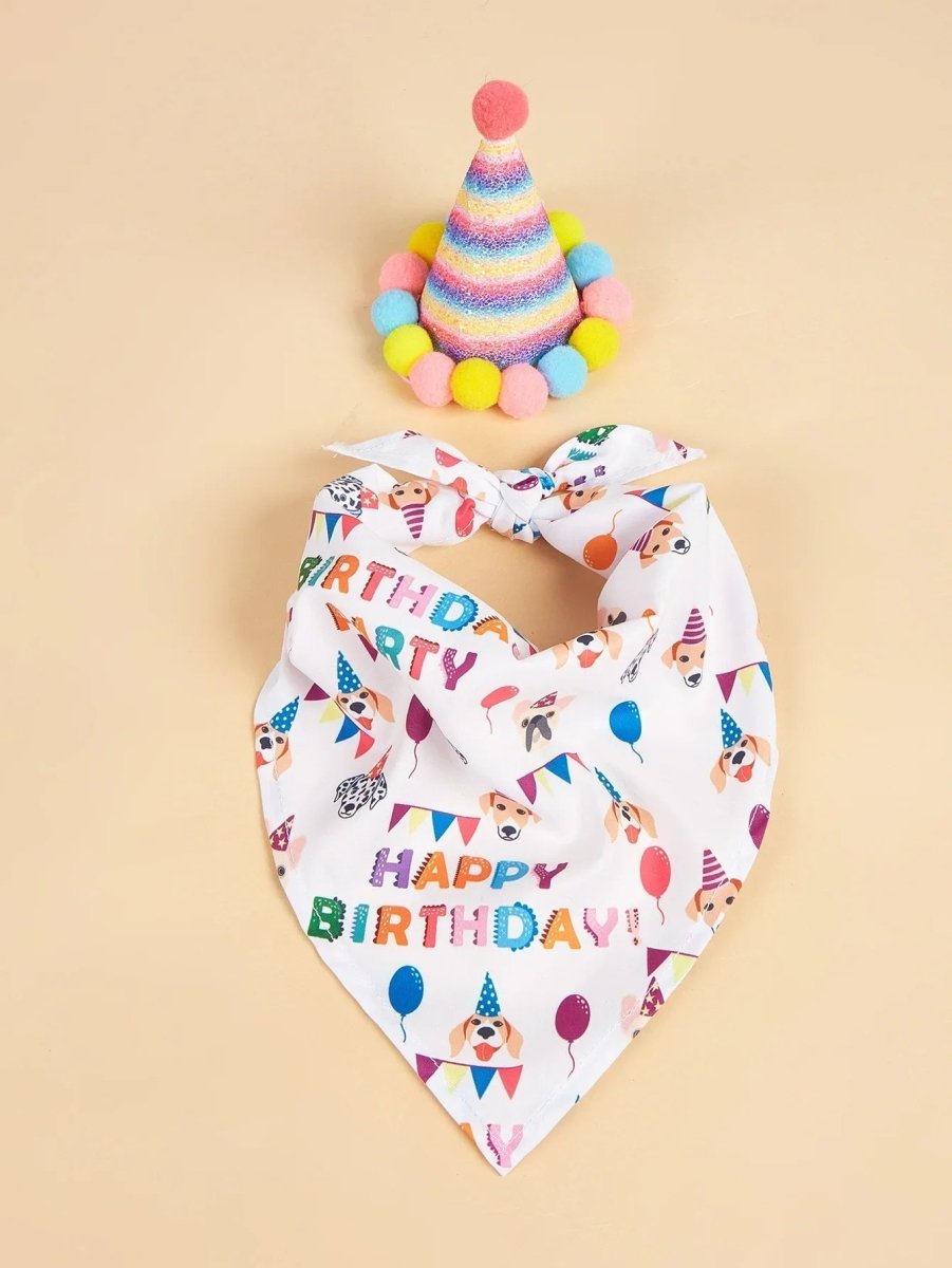 Happy Birthday Costume - The Snag Bin