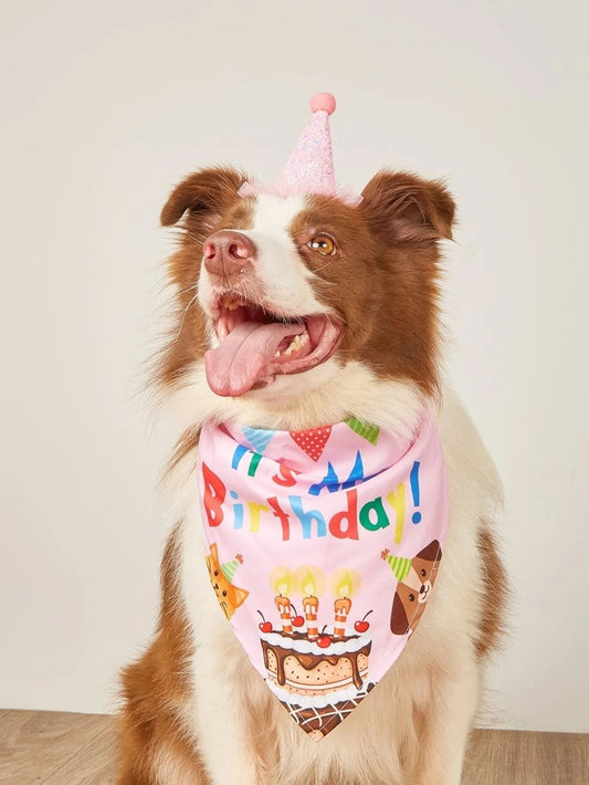 Happy Birthday Costume - The Snag Bin