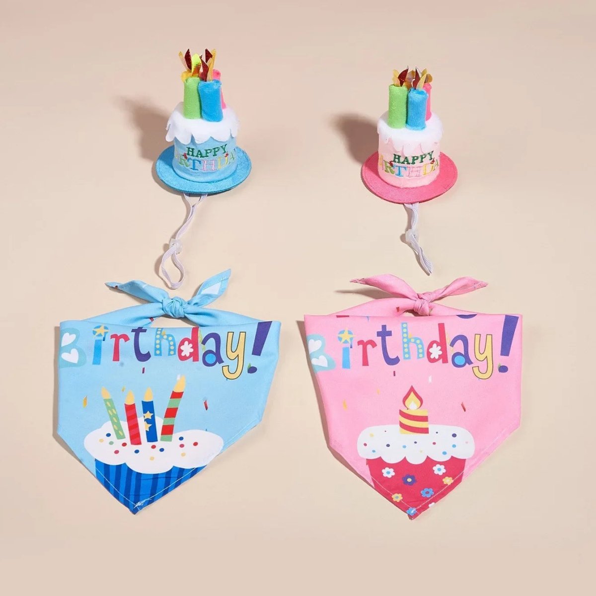 Happy Birthday Costume - The Snag Bin