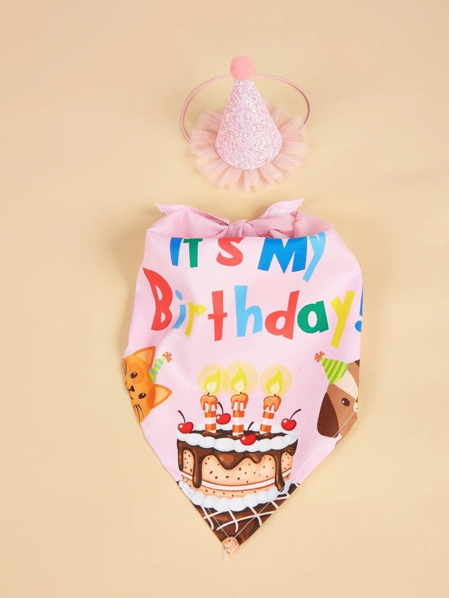 Happy Birthday Costume - The Snag Bin