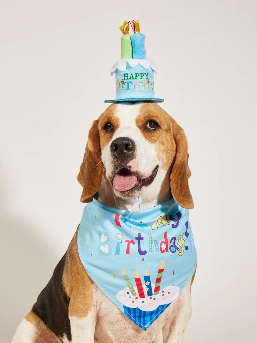 Happy Birthday Costume - The Snag Bin