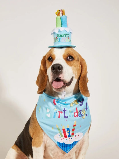 Happy Birthday Costume - The Snag Bin